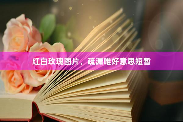 红白玫瑰图片，疏漏唯好意思短暂