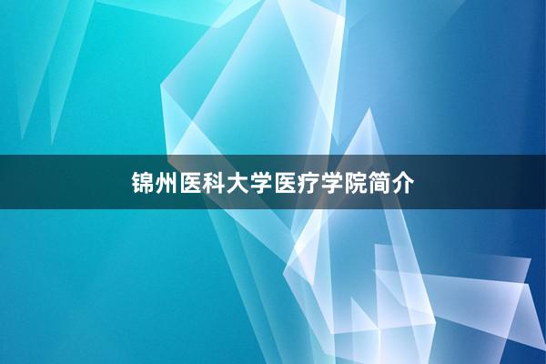 锦州医科大学医疗学院简介