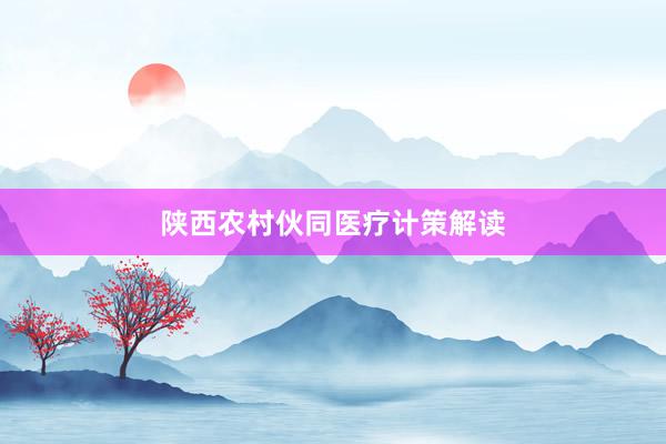 陕西农村伙同医疗计策解读